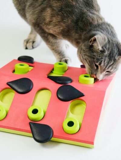 Nina Ottosson Cat Melon Madness Puzzle & Play - gra edukacyjna dla kotów - obrazek 7