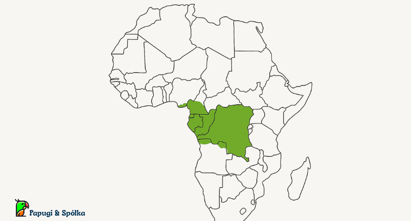 Zasięg występowania - Nierozłączka czerwonogłowa - Agapornis pullarius