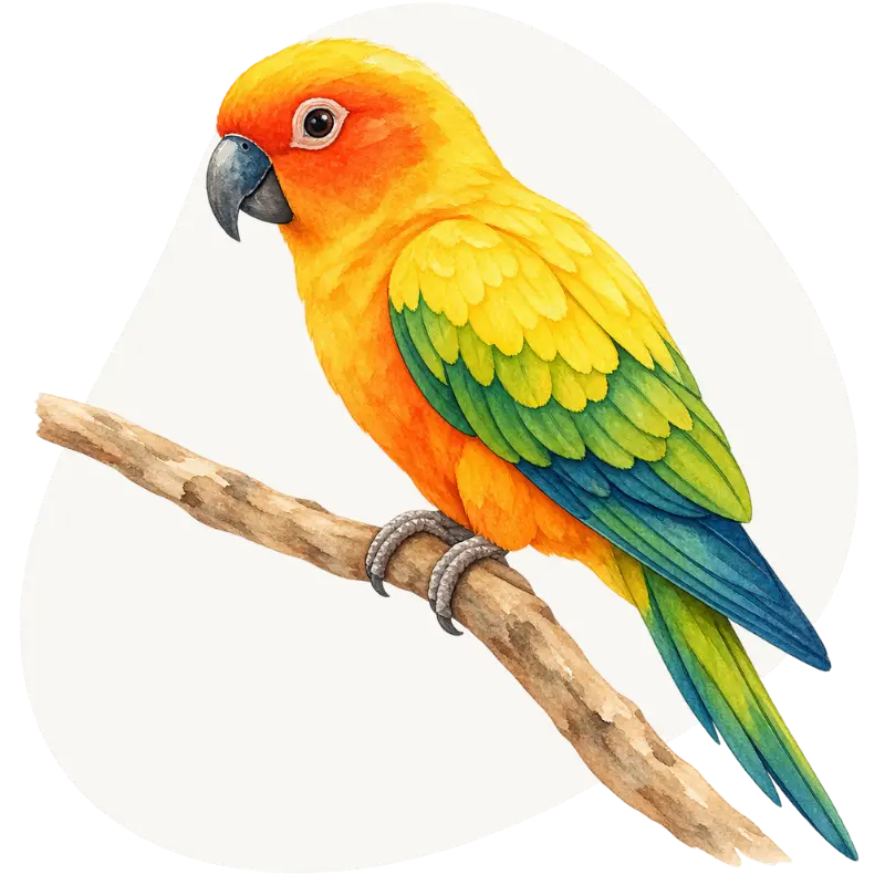Konura słoneczna (Aratinga solstitialis)